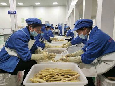 桐梓 龍頭企業(yè)帶動方竹筍精深加工，助推食品產業(yè)高質量發(fā)展